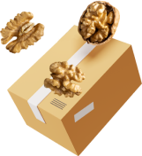 delivery