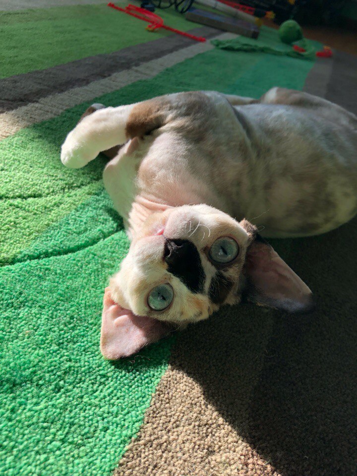 Наталья Безрукова, 13 марта 2018