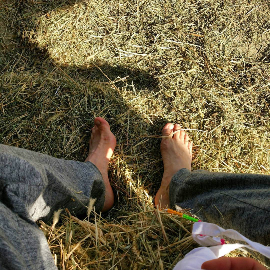 В гармонии с Природой