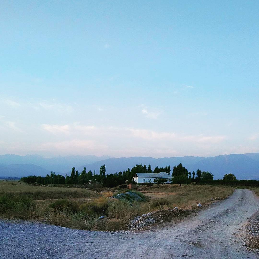 Шелест крыльев степных птиц